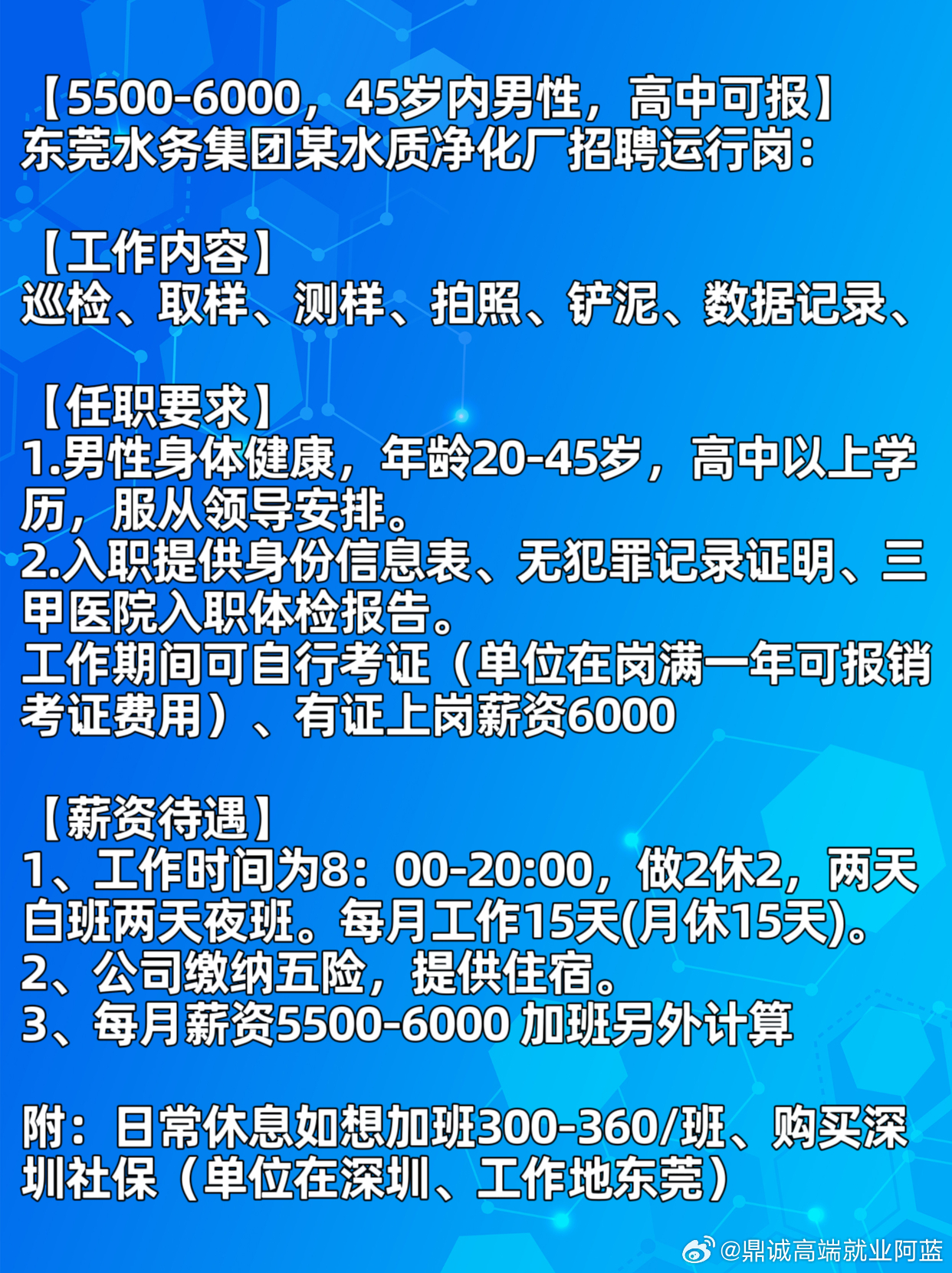 中山東鳳發(fā)布最新招聘盛況，多元崗位齊上陣，攜手共繪發(fā)展新藍(lán)圖