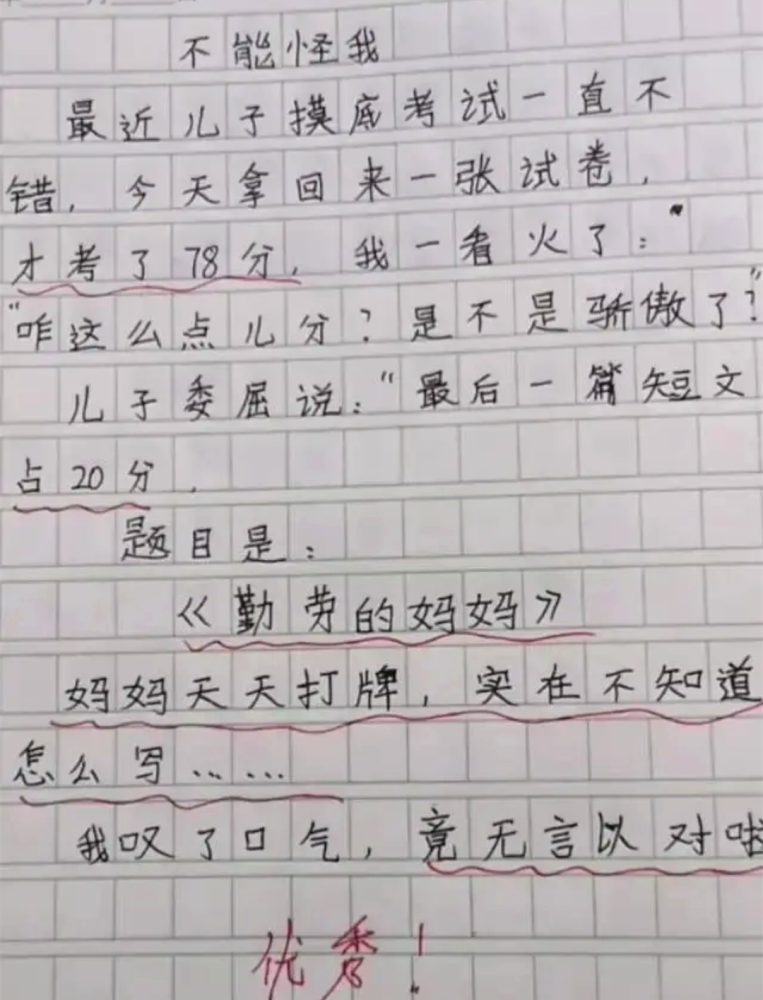 最新小學(xué)生滿分作文，探索奇妙世界，純真夢想之旅