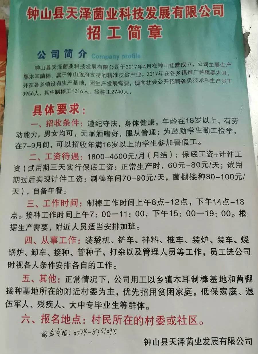 屺亭開發(fā)區(qū)最新招工，共繪就業(yè)與發(fā)展新藍(lán)圖